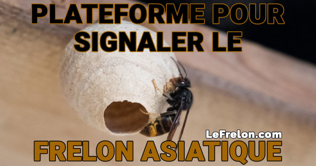 http://lefrelon.com/ 